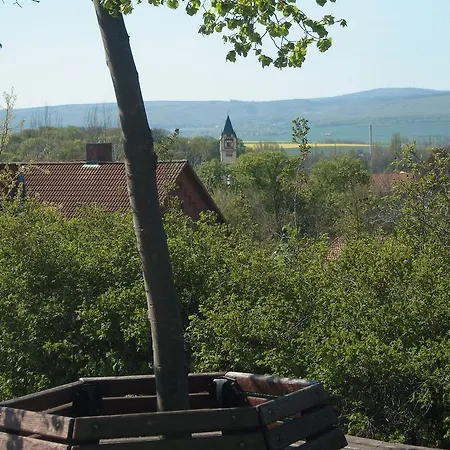 Muenzenberg 53 *