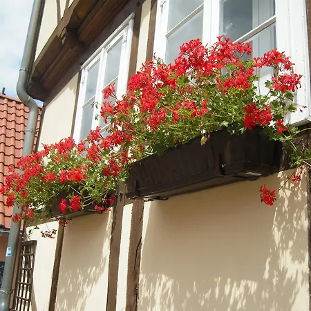 Feriehus Muenzenberg 53