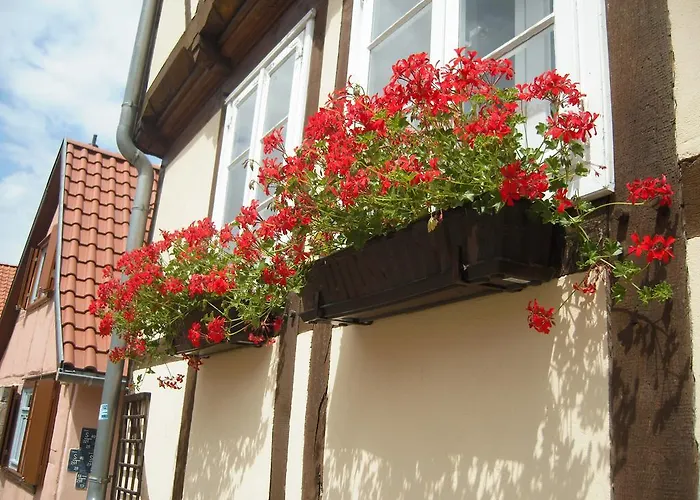 Semesterbostad Muenzenberg 53